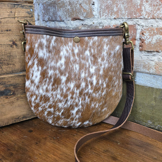 Gypsy (Chestnut) JH09371