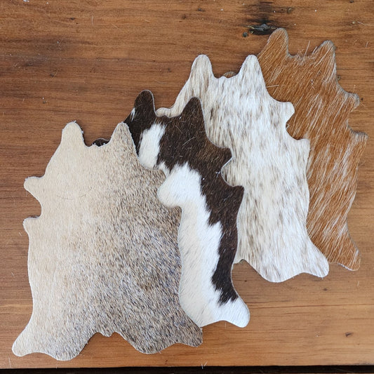 Cowhide Coasters - Set of Four - Jill's Homestead