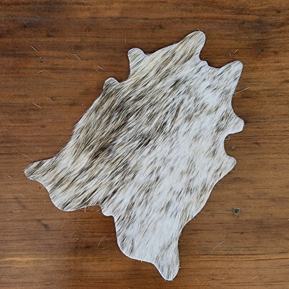Cowhide Coasters - Set of Four - Jill's Homestead