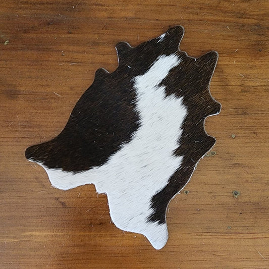 Cowhide Coasters - Set of Four - Jill's Homestead
